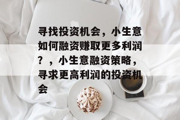 寻找投资机会,小生意如何融资赚取更多利润?,小生意融资策略,寻求更高利润的投资机会 寻找投资机会,小生意如何融资赚取更多利润?,小生意融资策略,寻求更高利润的投资机会