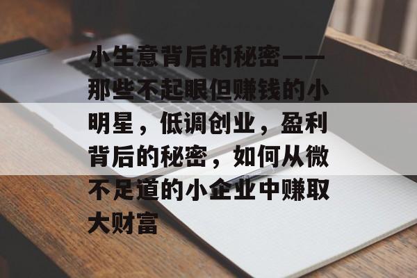 小生意背后的秘密——那些不起眼但赚钱的小明星,低调创业,盈利背后的秘密,如何从微不足道的小企业中赚取大财富 小生意背后的秘密——那些不起眼但赚钱的小明星,低调创业,盈利背后的秘密,如何从微不足道的小企业中赚取大财富